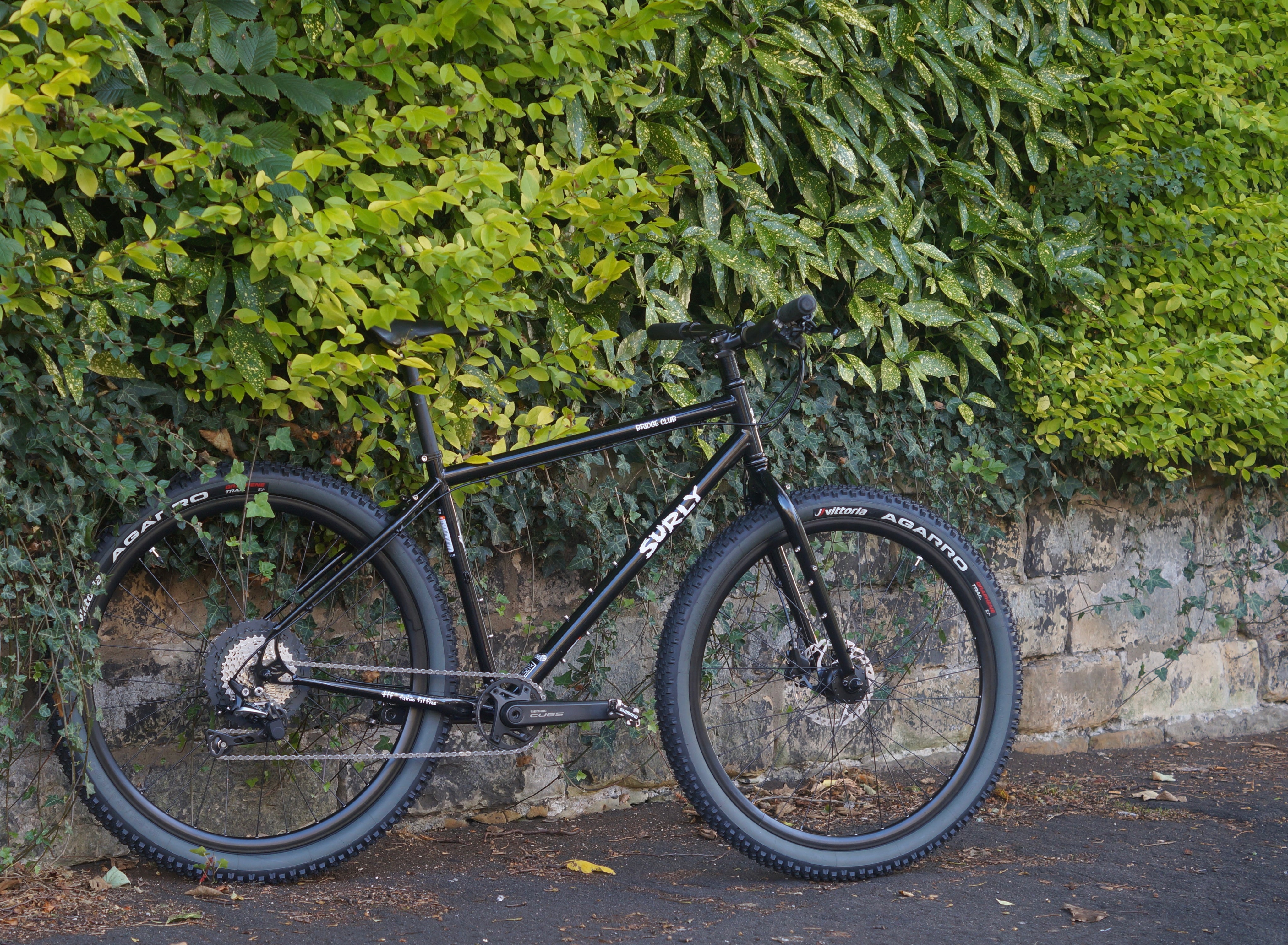 Custom build - Surly Bridgeclub