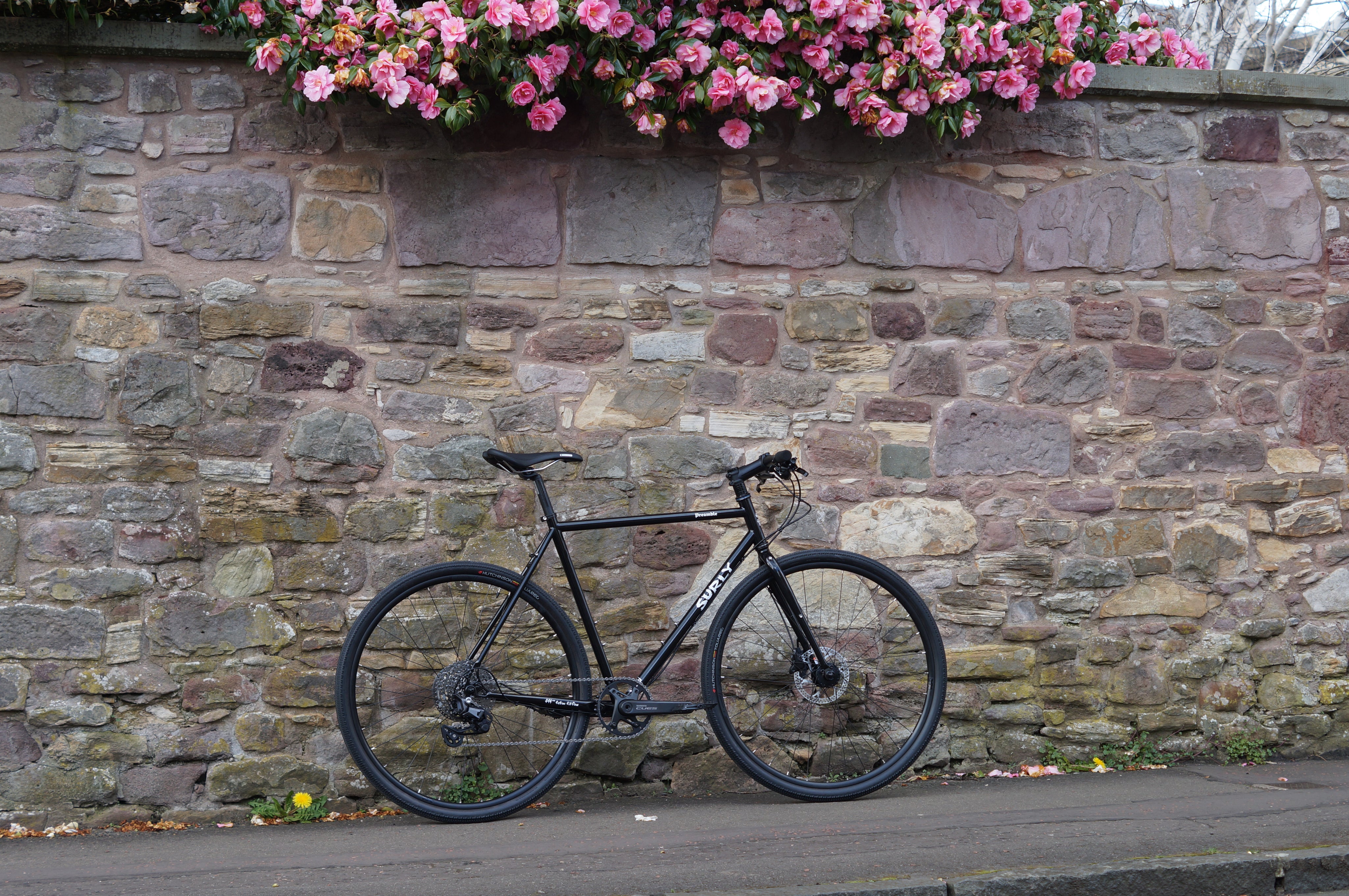 Surly Preamble Shop Custom complete build