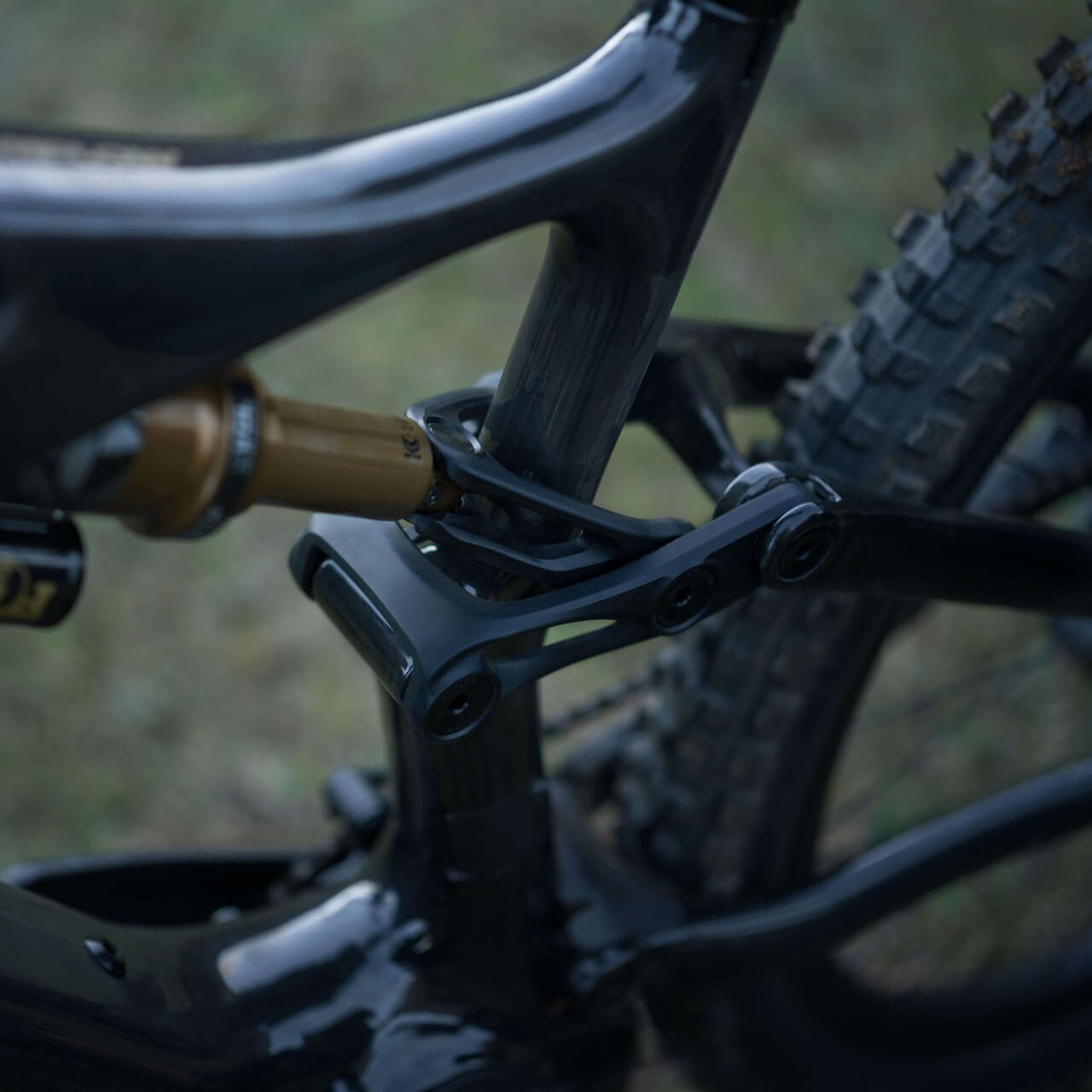 Amflow PL Carbon Pro (800 Wh) - Free Front Light