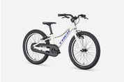 Precaliber 20" Freewheel