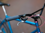 Brothers Cycles Pinecone