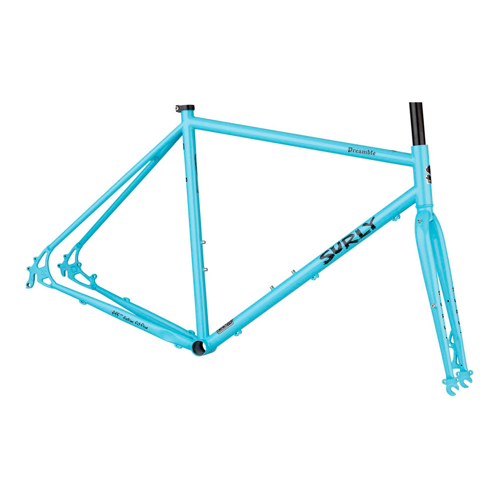 SURLY フレーム サイズS PREAMBLE SURLY Preamble Bike Grumpy – RAWカラー特別仕様車（Sサイズ） 完成車 パーツ