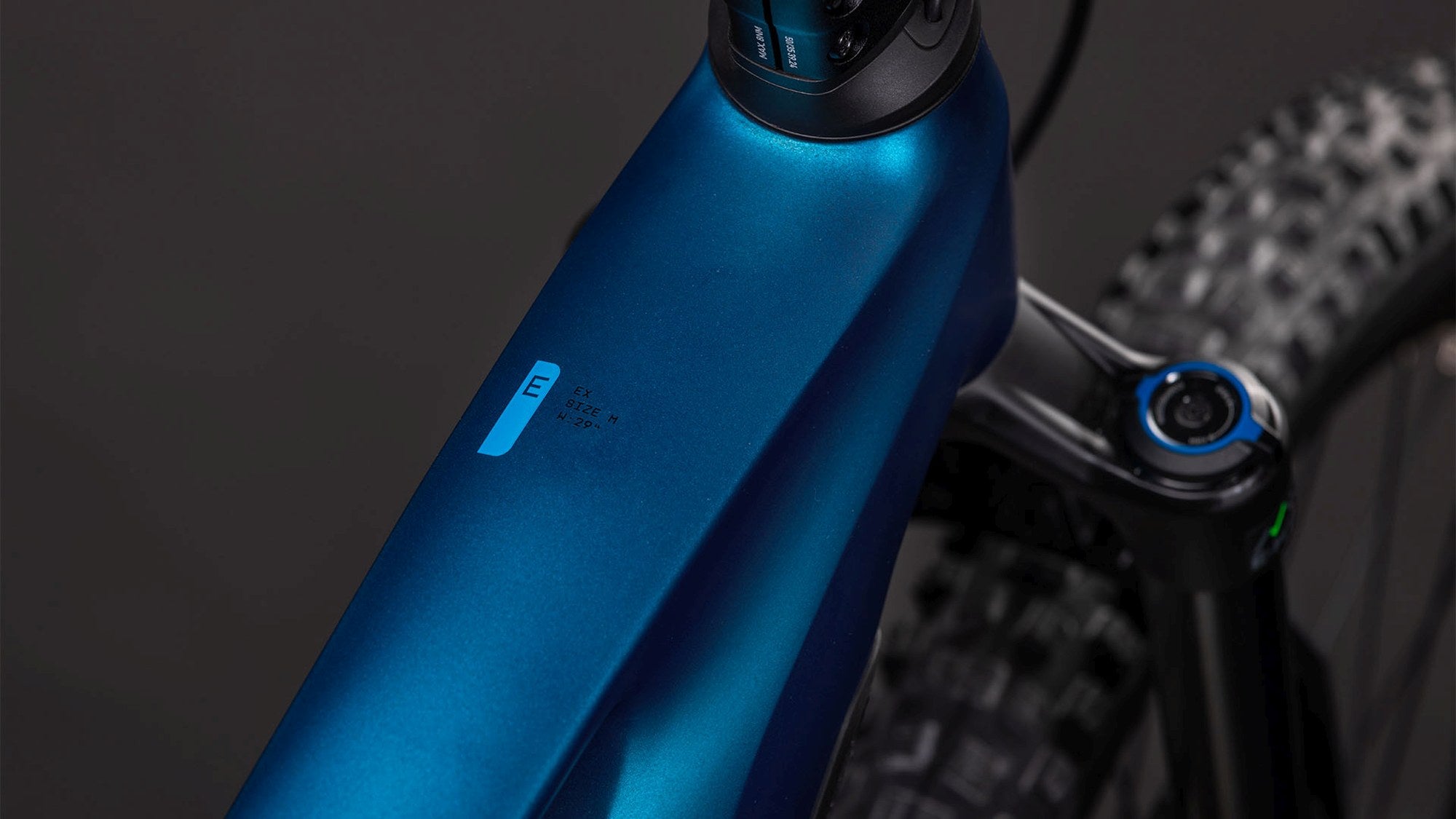 BLUE image 2