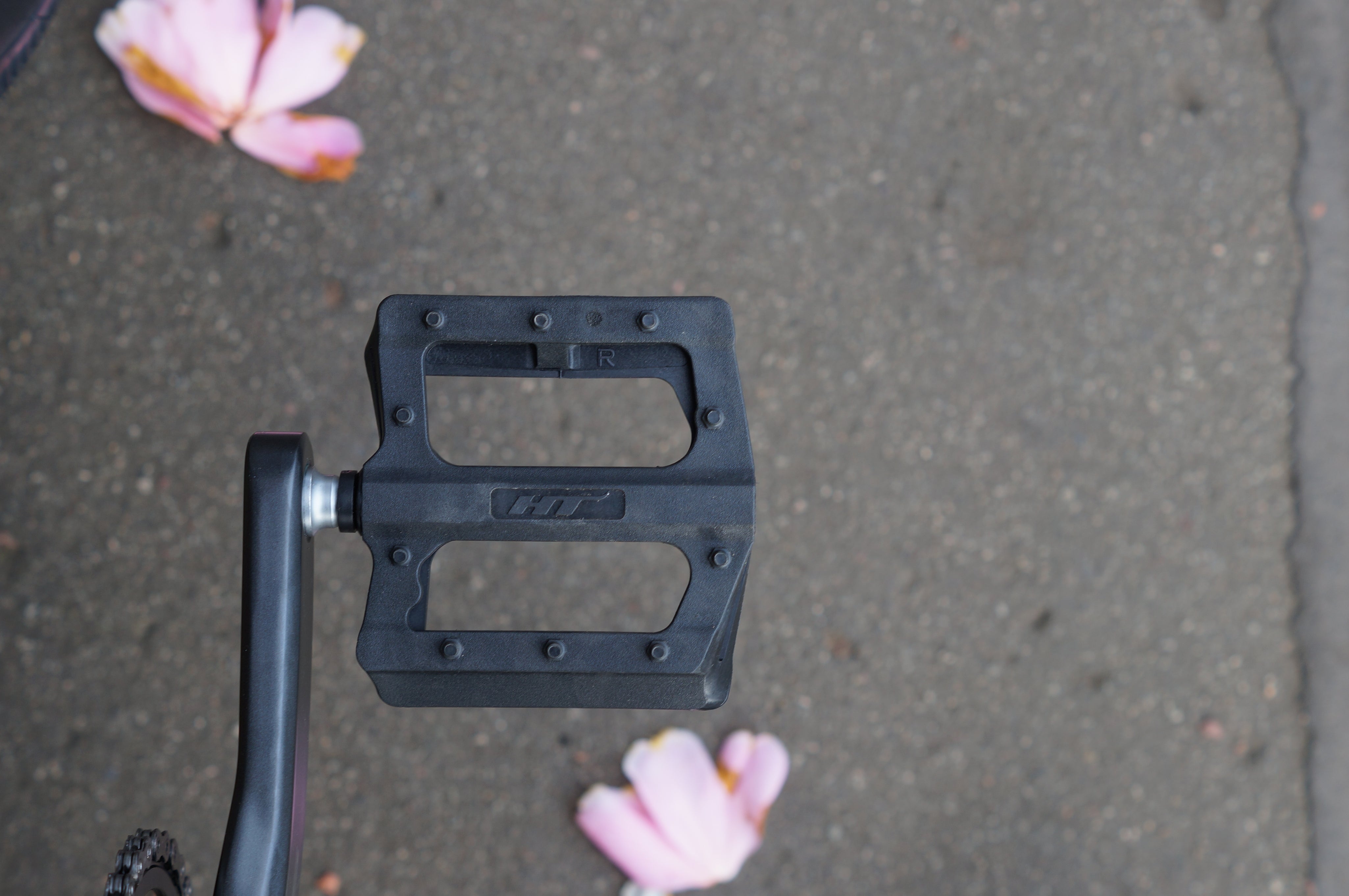 Surly Preamble Shop Custom complete build