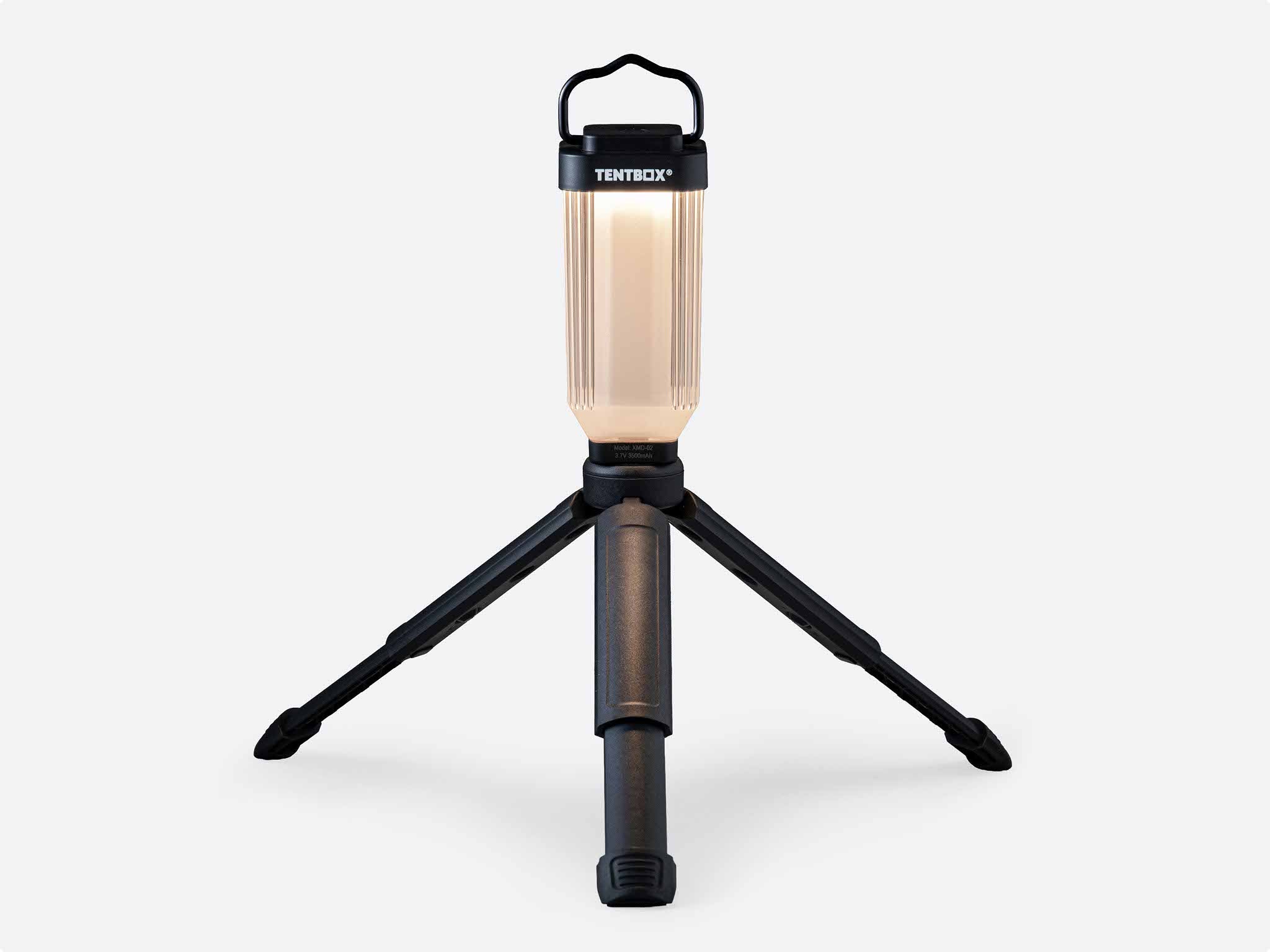 Mini Tripod Light