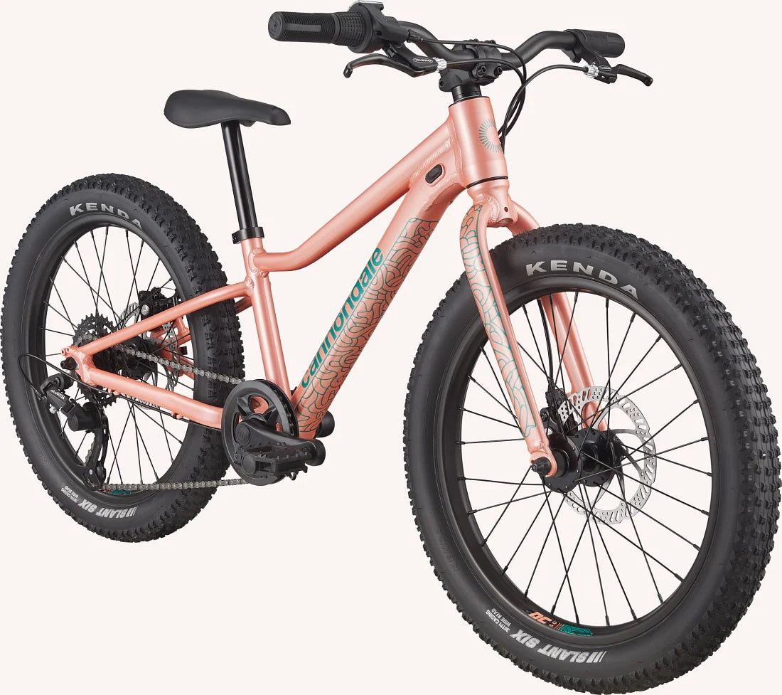 Cannondale Kids Trail Plus 20