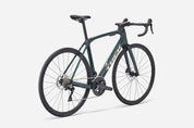 Domane SL 5 Gen 4
