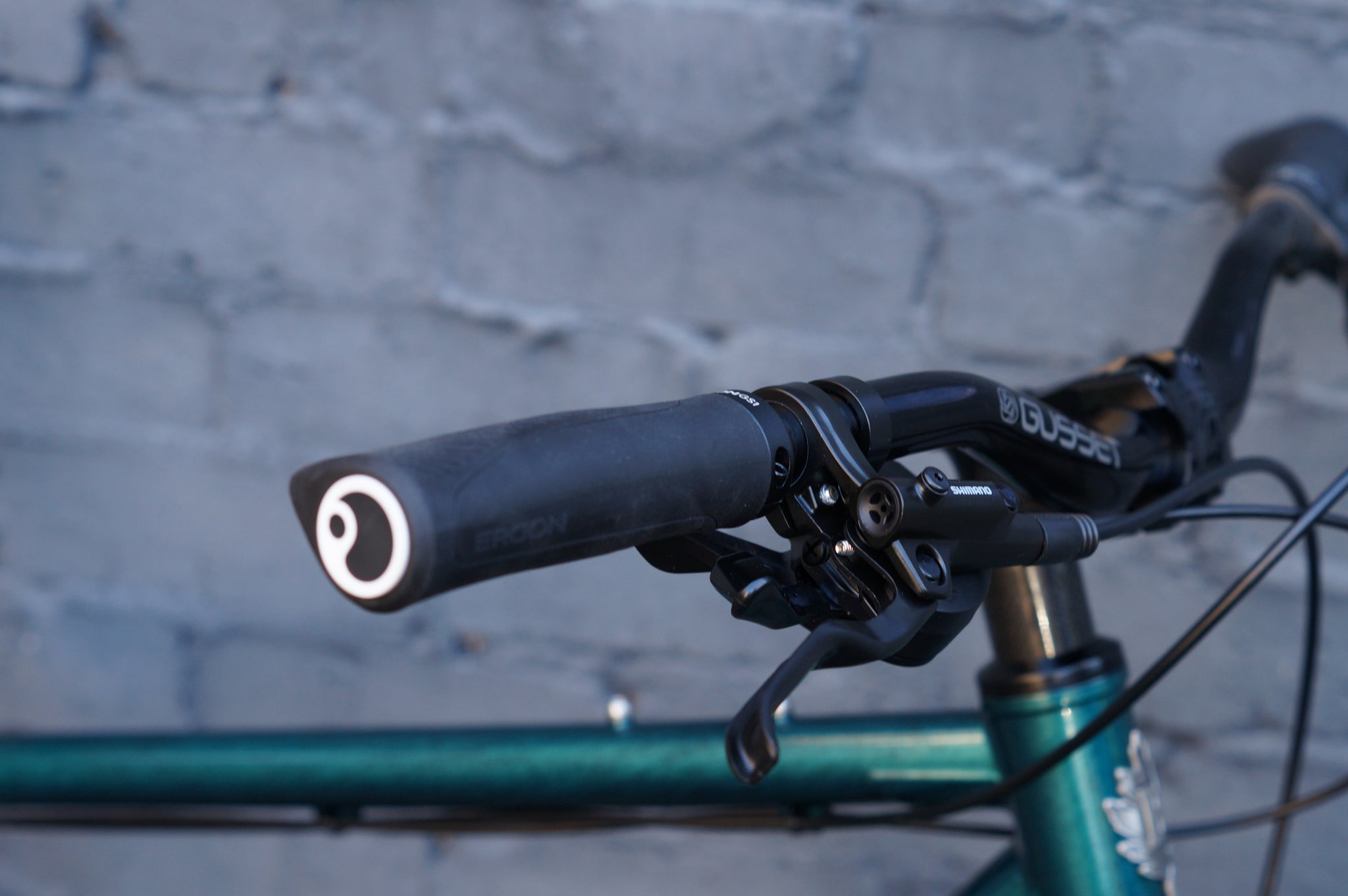 Hire - Brothers Big Bro backpacking Bike