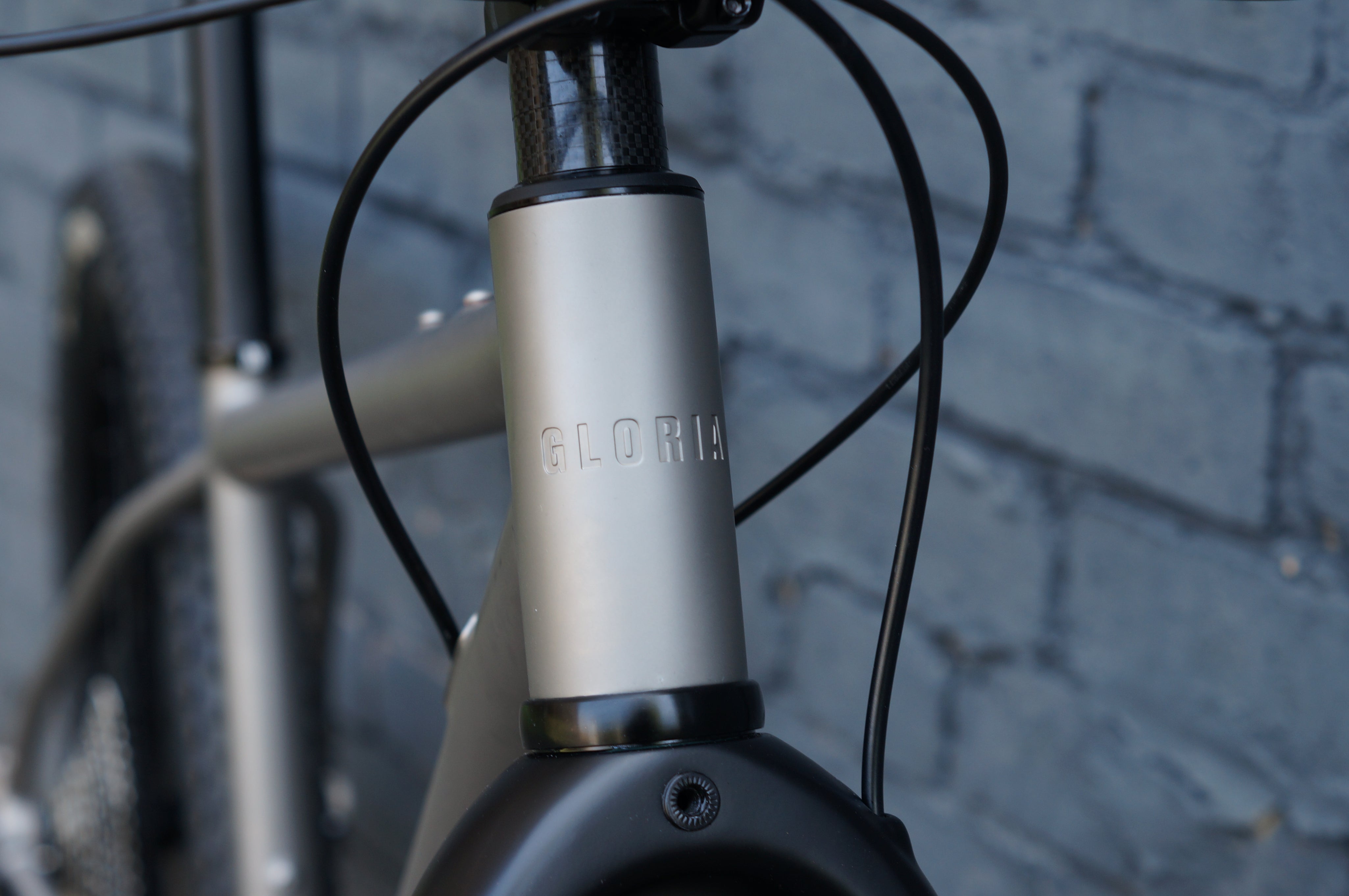 Gloria Titanium Mountain Bike - Stock Build