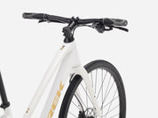 Trek FX 2 Midstep Gen 41