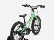 Precaliber 16" Freewheel