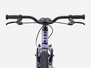 Precaliber 20" Freewheel