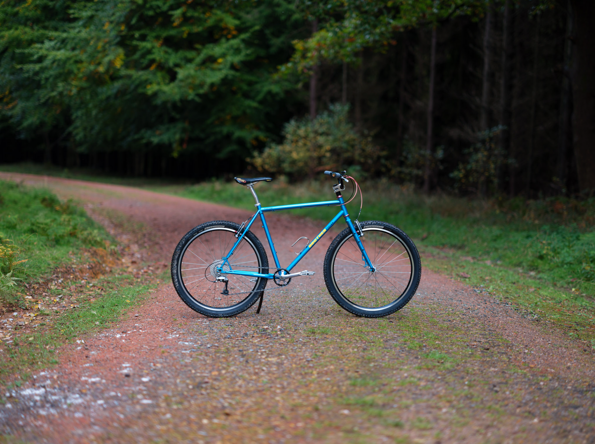 Brothers Cycles Pinecone