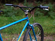 Brothers Cycles Pinecone