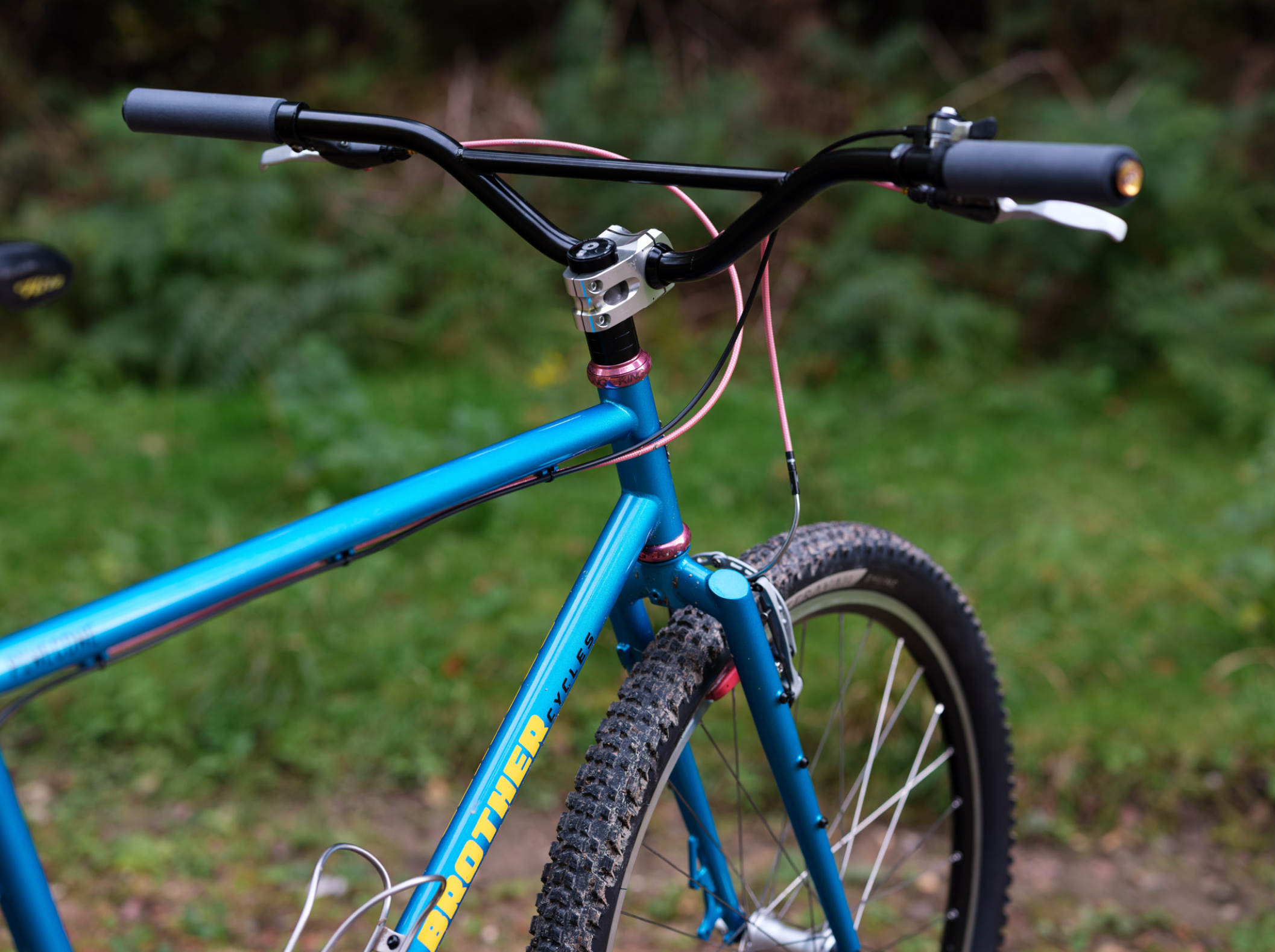 Brothers Cycles Pinecone