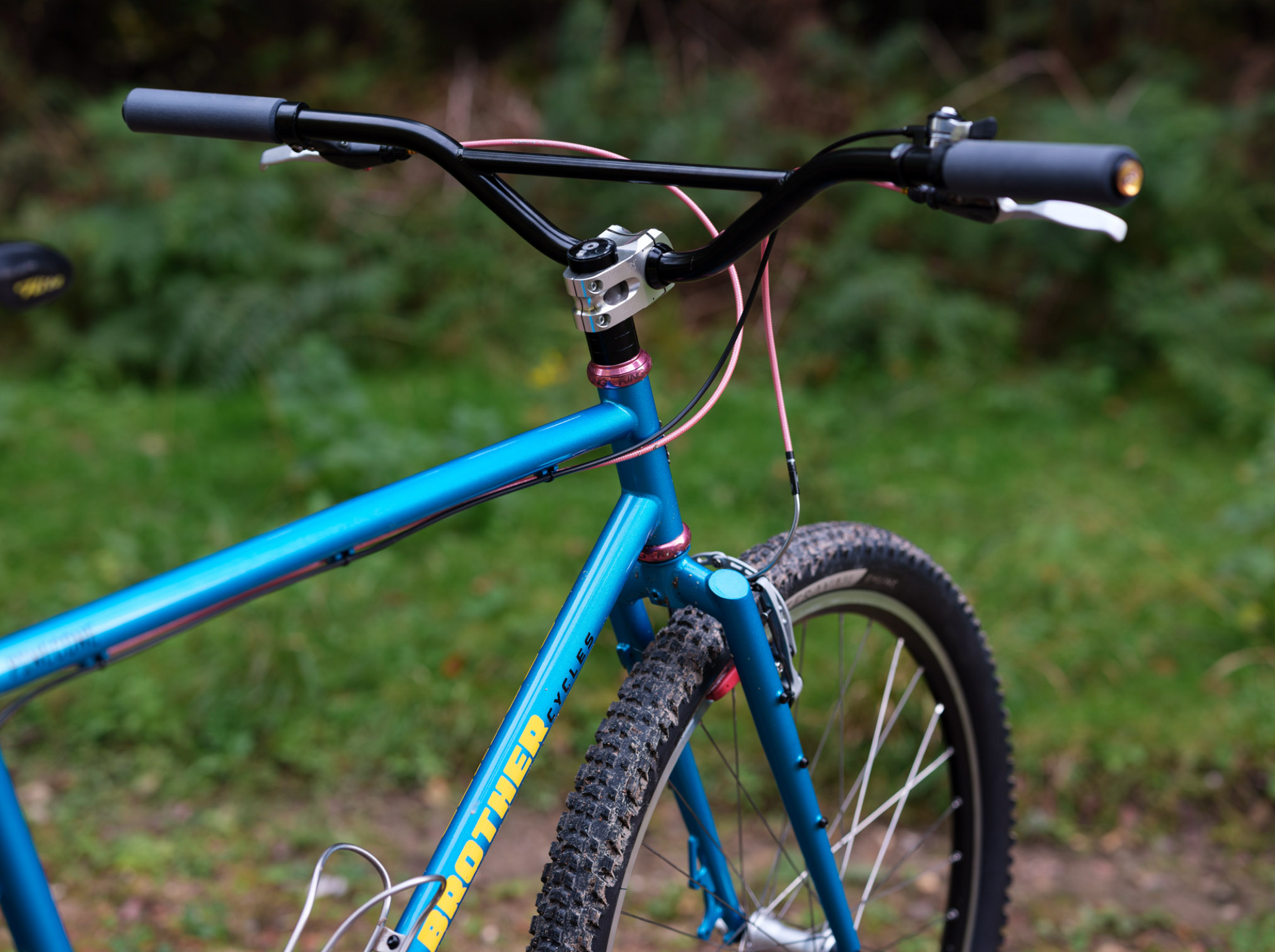 Brothers Cycles Pinecone