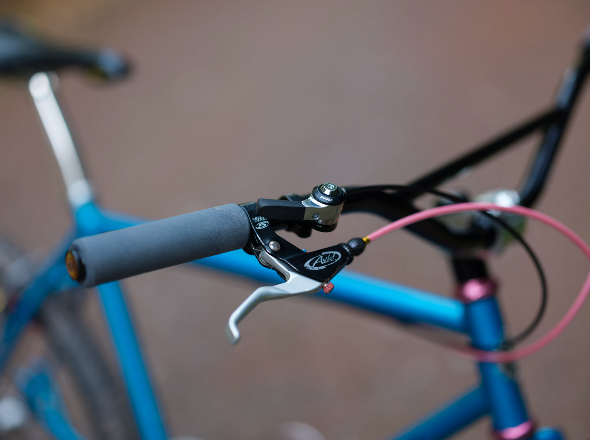 Brothers Cycles Pinecone