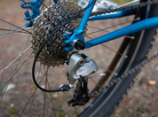 Brothers Cycles Pinecone