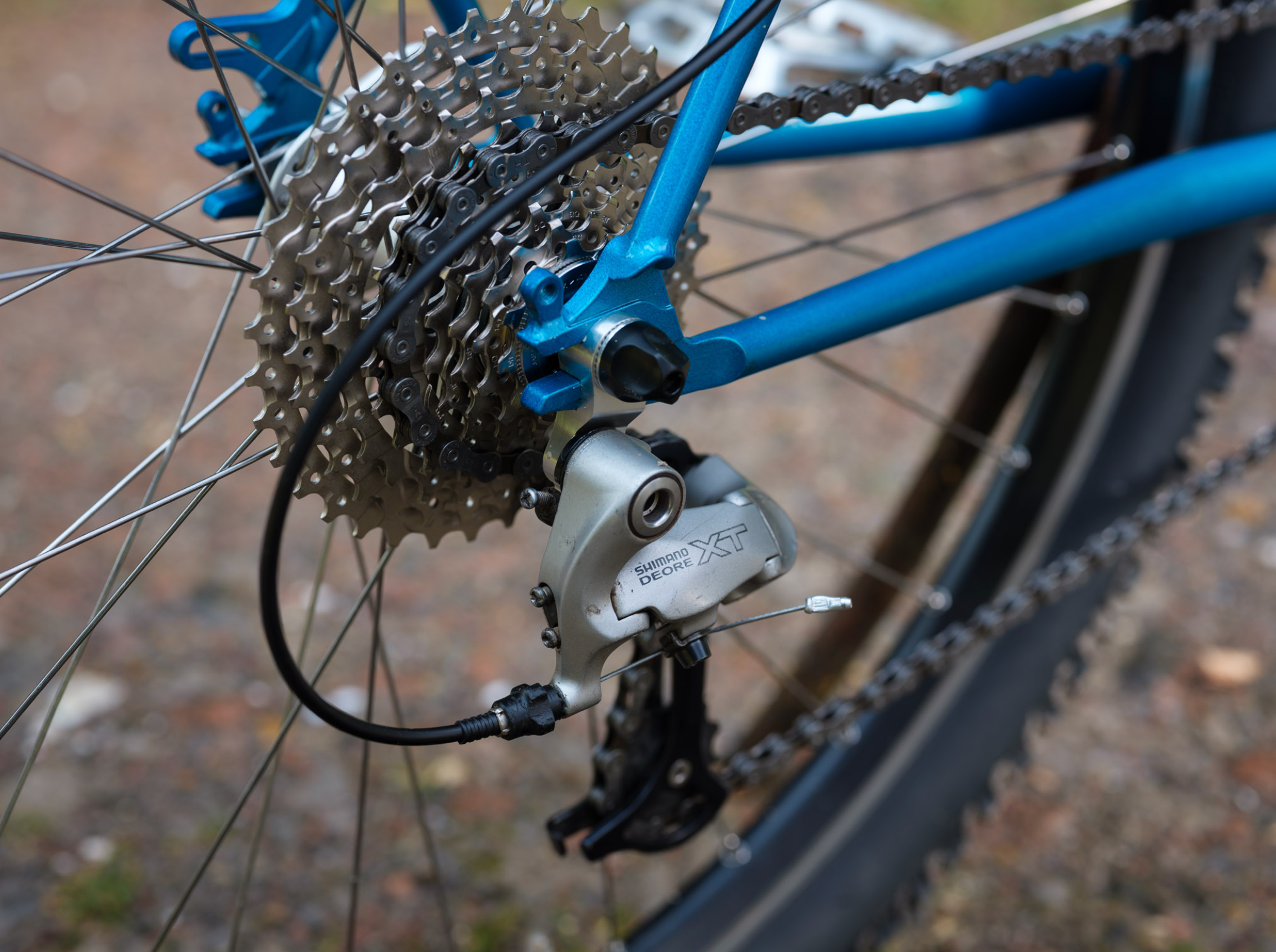 Brothers Cycles Pinecone