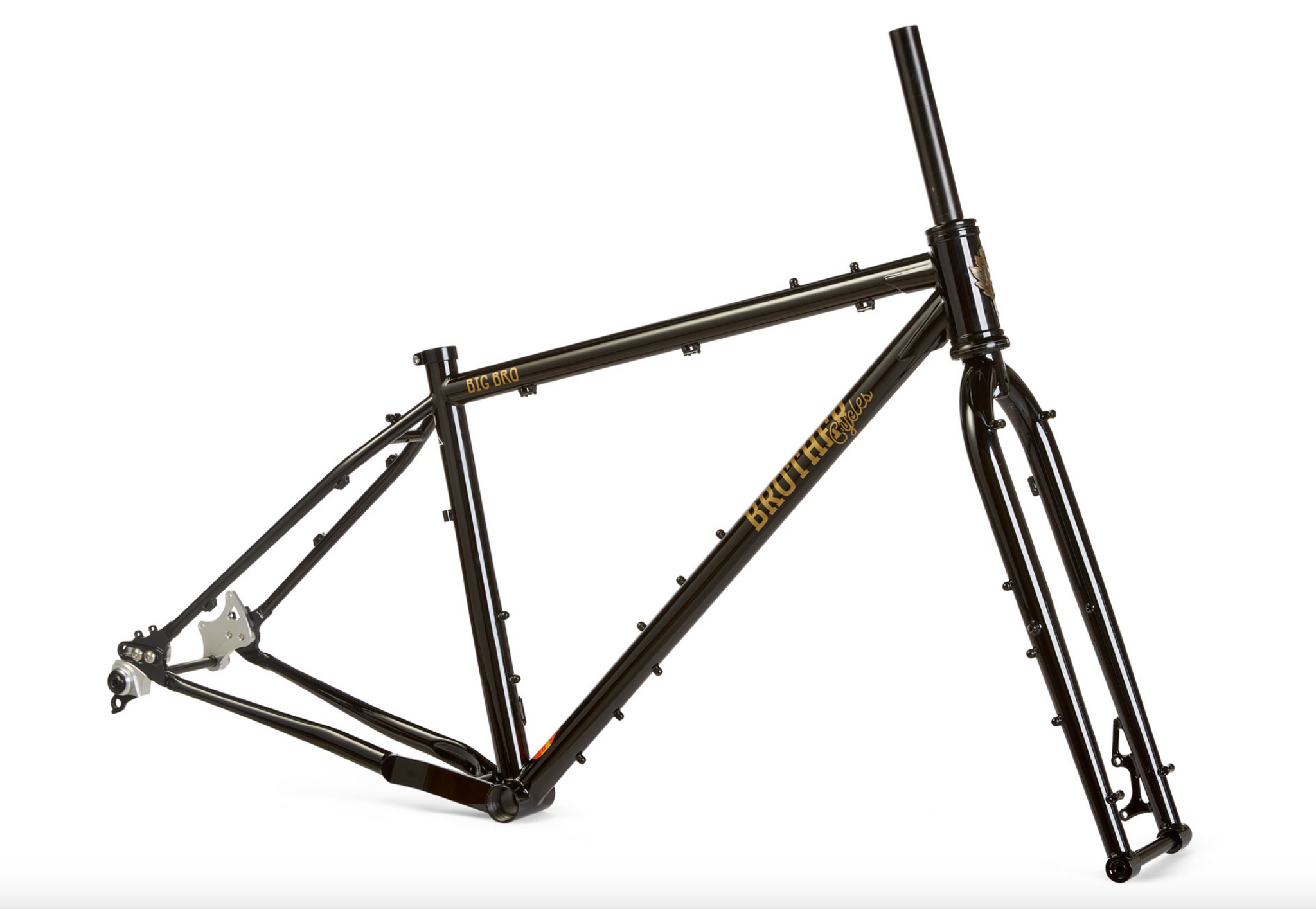 -Brother Big Bro 2025