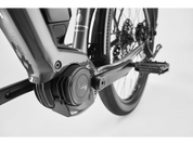 Diamant Zing Trip Plus (Lowstep)