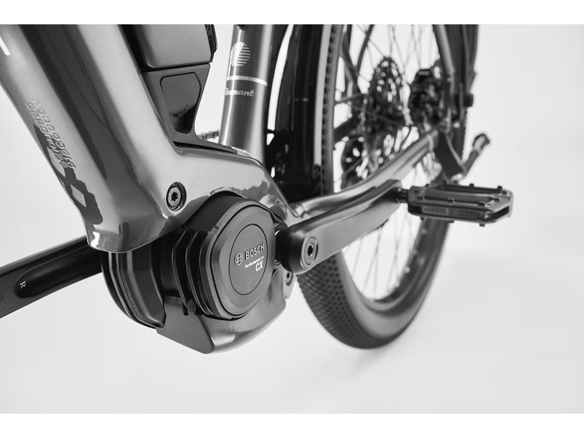 Diamant Zing Trip Plus (Lowstep)