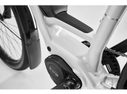 Diamant Zing Trip Plus (Lowstep)