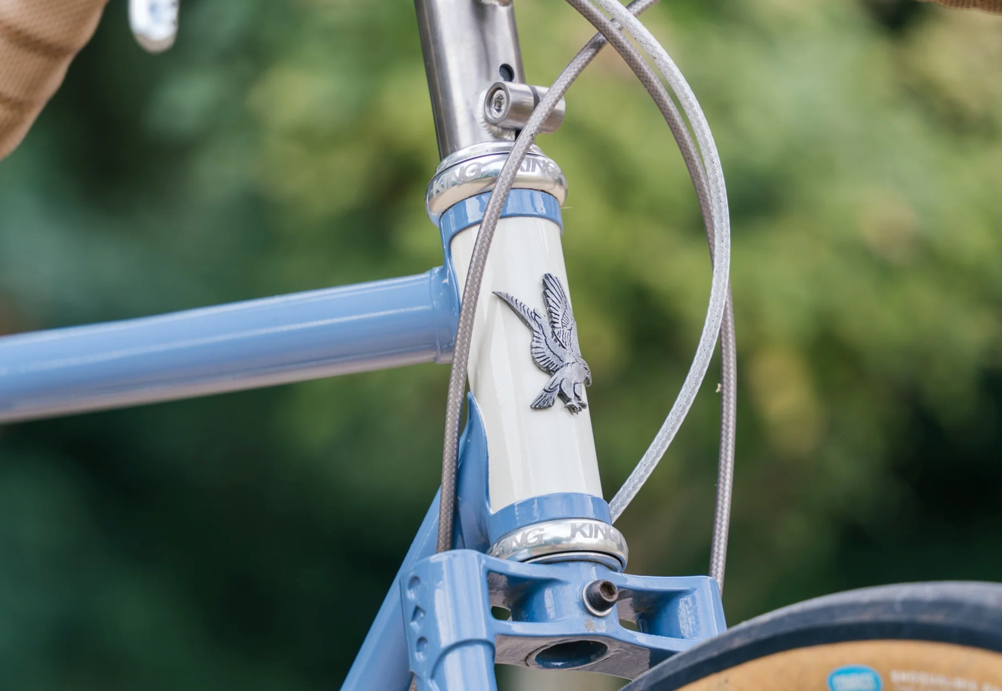 Singular Peregrine Frameset - Singular Blue